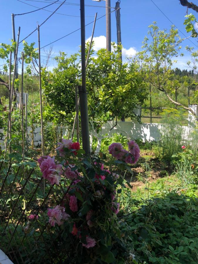 Natasha's Ferienhaus Perama (Corfu)