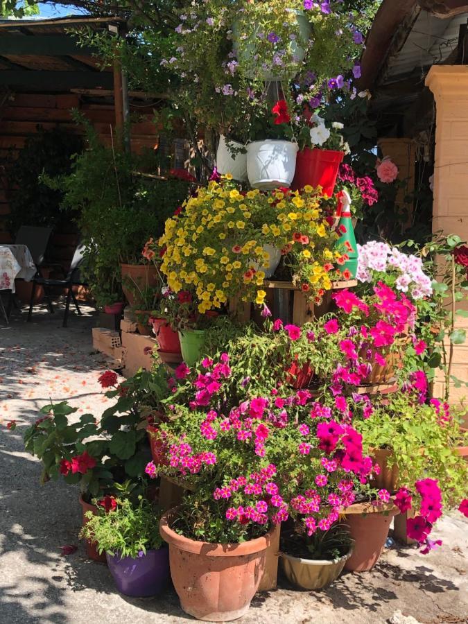 Natasha's Perama (Corfu)